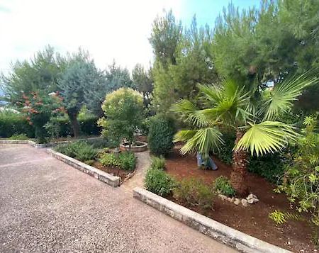 Villa Adelaide Ceglie Messapica Exteriör bild