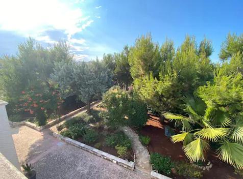 Villa Adelaide Ceglie Messapica Exteriör bild