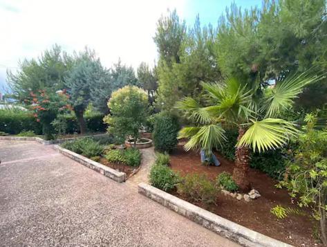 Villa Adelaide Ceglie Messapica Exteriör bild